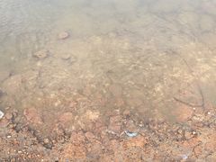 -艾溪湖湿地公园