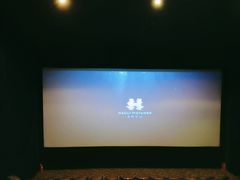 -嘉华国际影城(学清路店)