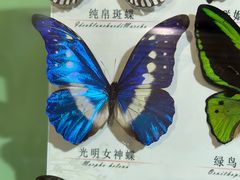 -蝴蝶泉公园
