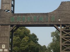 -溱湖国家湿地公园