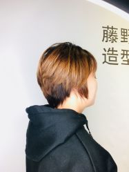 点击看大图 -藤野造型