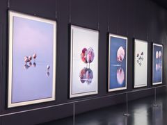 -罗红摄影艺术馆