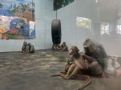 -西安秦岭野生动物园