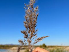 -野鸭湖国家湿地公园