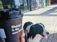 -BLATAGE COFFEE