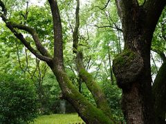 -徐家汇源景区-衡山公园