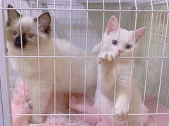 -宠颐生中康贝怡动物医院