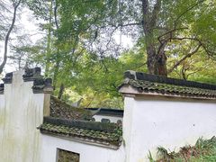 -莫干山风景区