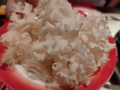 绣球-江北北火锅馆·公路夜市(魏公村店)