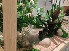 -相遇·鲜炒黄牛肉(丹阳吾悦广场店)
