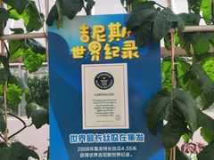 -北戴河集发农业梦想王国