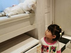 -猫小院猫主题餐厅(三里屯店)
