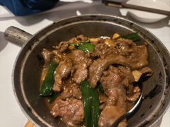 -食为先(Shark Fin)