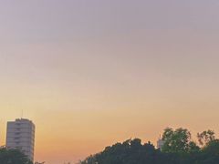 -金砂公园