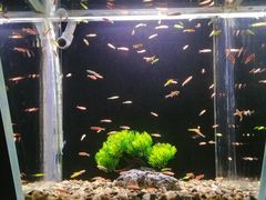 -邯郸海洋世界