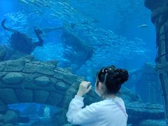 -哈尔滨波塞冬海底世界