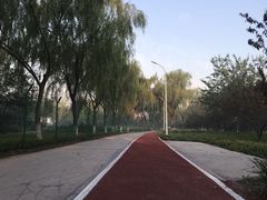 -绿堤公园