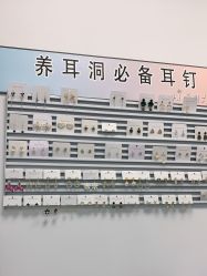 -AI艾耳·专业手工耳洞·穿孔美学馆