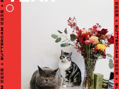 -花木兰花艺MULAN(温馨花园店)