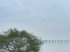 -宝安西湾红树林湿地公园