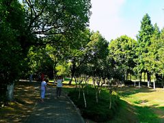 -尚贤河湿地