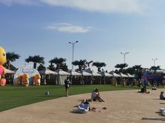 -秦皇岛乐岛海洋王国