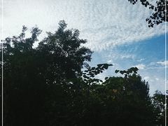 -西安市长乐公园