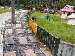 -合肥滨湖国家森林公园