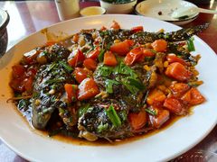 -生态苑农庄(十里画廊遇龙河店)