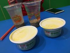 -德禄酸奶(莫家街店)