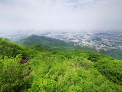 -紫金山山顶公园