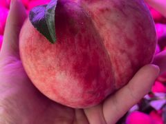 -淡村菜市场