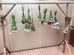 -ChaKo Flora ·茶子花艺 (市北店)