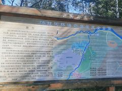-汤旺河林海奇石景区