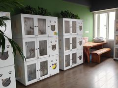 -东方名猫馆·英短金渐层布偶猫舍(环线广场1号楼店)