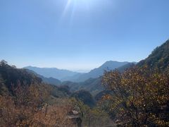 -大岭沟猕猴桃谷风景区