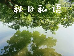-西湖游船