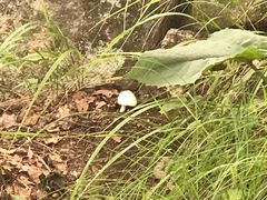 -陕西省红河谷森林公园