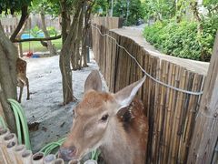 -颐和澜悦欢乐水世界(原颐和温泉城)