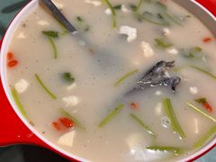 -煲来饱去冷水鱼