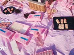 纪念品-天适樱花悠乐园