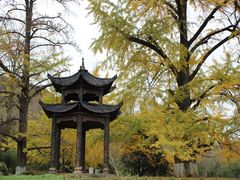 -千年银杏谷文化旅游区