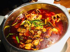 -宽口美蛙鱼头(大唐西市店)