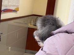 -艾贝尔宠物医院·24H转诊中心·肿瘤猫专科(江宁双龙店)