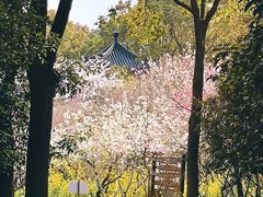 -南汇桃花村