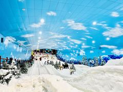 -世界之窗阿尔卑斯冰雪世界