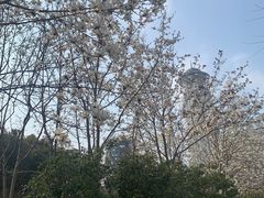 -人民广场