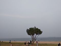 -彩虹沙滩