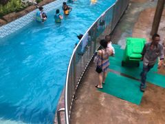 -杭州浪浪浪水公园
