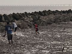 -南汇嘴观海公园